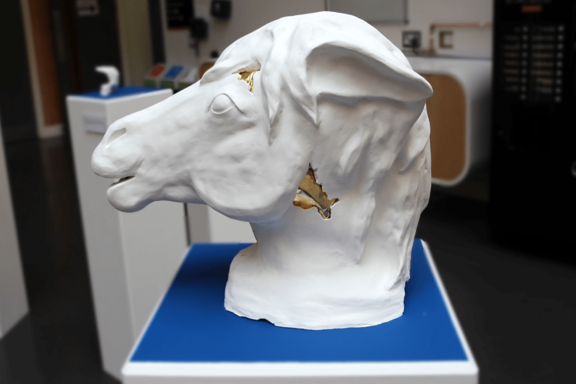 Yuanming Yuan 2_ Horse