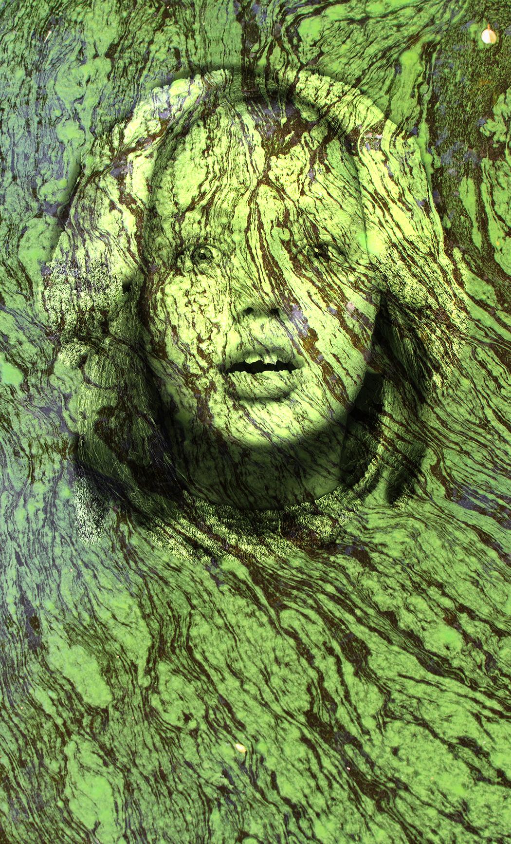 algae girl(1)